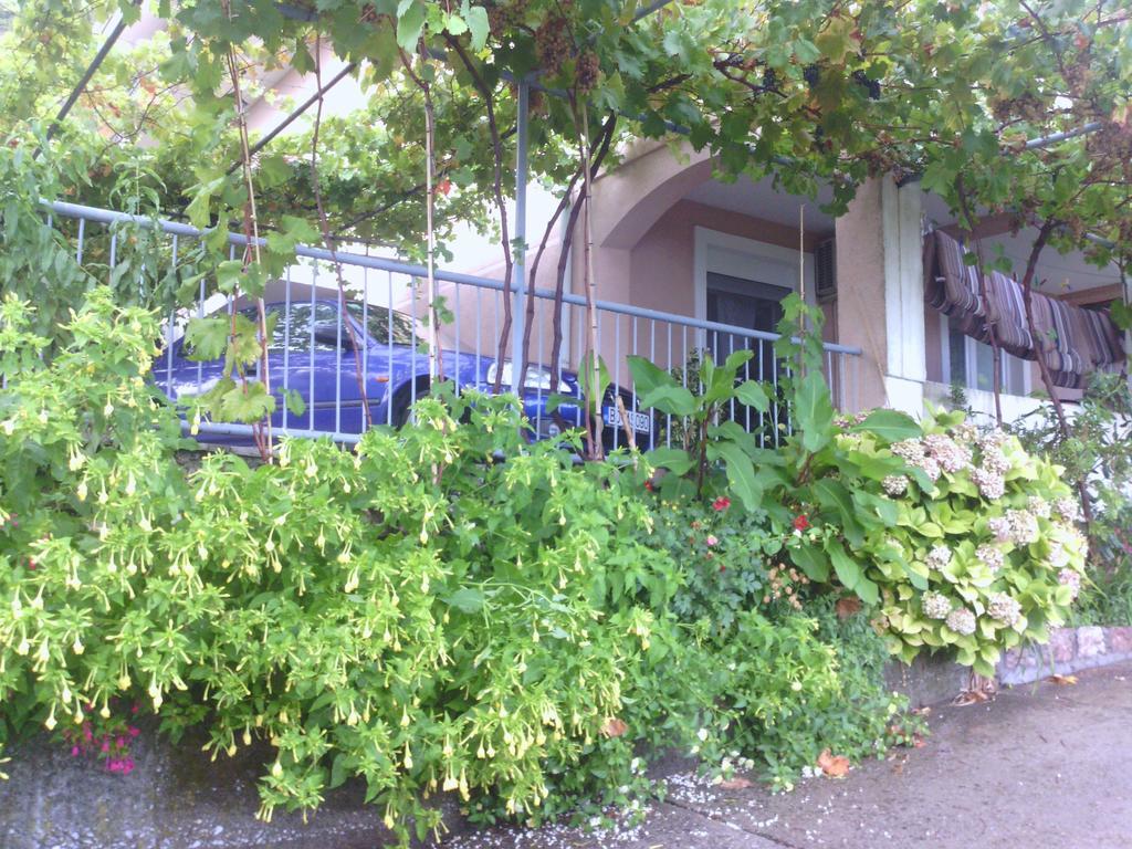 Apartments Mitrovic Podlicak سفيتي ستيفان المظهر الخارجي الصورة